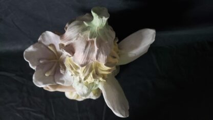 Flower Garden Fairy Sculpture 16" Statue Blonde Nymph Pixie Art - Image 25
