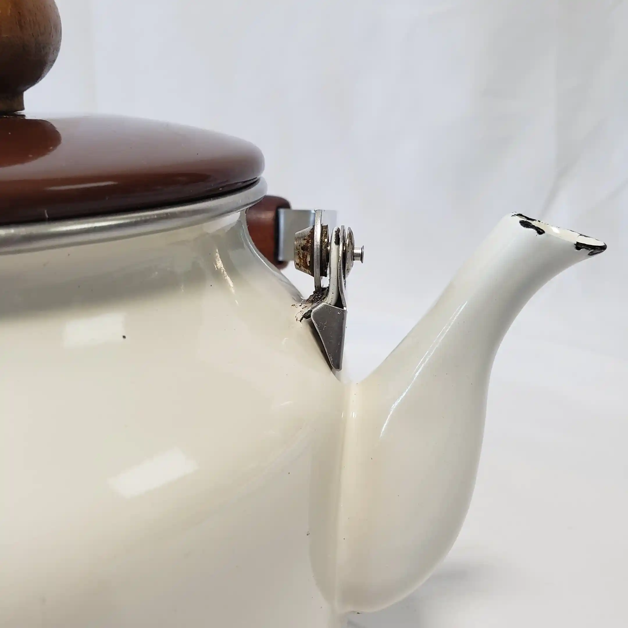 Hall Teapot Enamelware Jewel Tea Pot Autumn Leaf Vintage Enamel Round Metal Kettle - Image 23